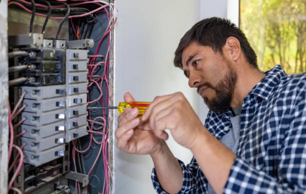Best Electrical System Inspection  in Bayard, NM